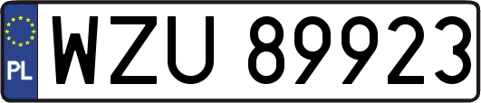 WZU89923