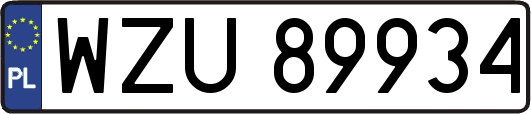 WZU89934