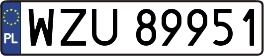 WZU89951