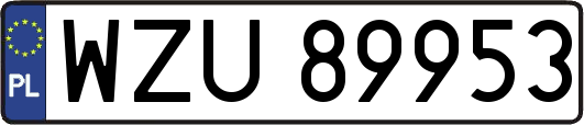 WZU89953