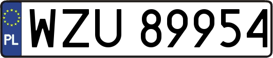 WZU89954