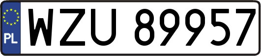 WZU89957