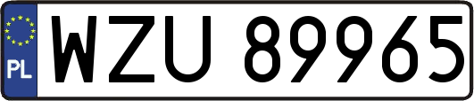 WZU89965