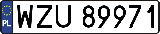 WZU89971