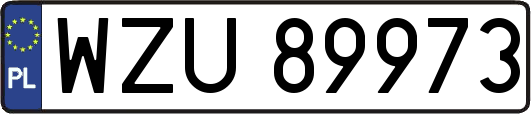 WZU89973