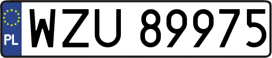 WZU89975