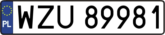 WZU89981
