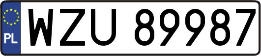 WZU89987