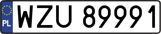 WZU89991