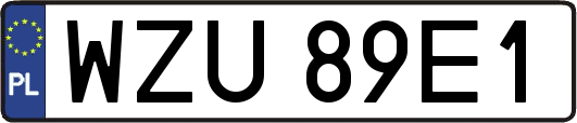 WZU89E1