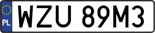 WZU89M3