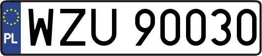 WZU90030