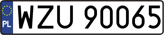 WZU90065