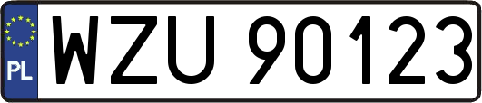 WZU90123