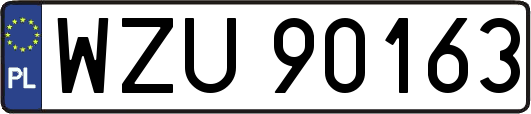 WZU90163