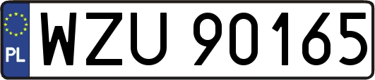 WZU90165