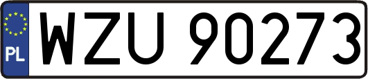 WZU90273