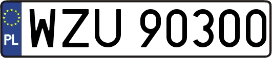 WZU90300