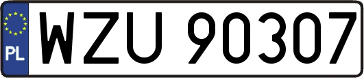 WZU90307