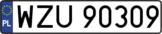 WZU90309