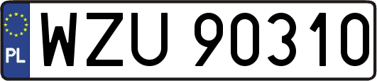 WZU90310