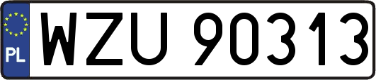 WZU90313