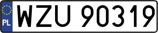 WZU90319
