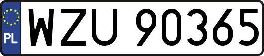 WZU90365