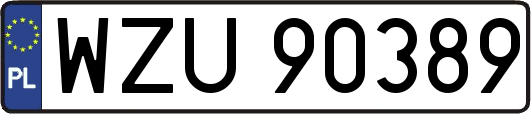 WZU90389