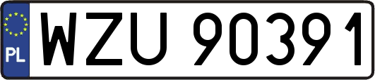 WZU90391