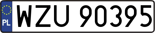 WZU90395