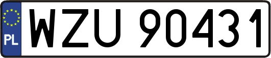 WZU90431