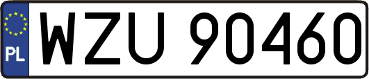 WZU90460