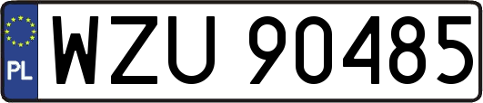WZU90485