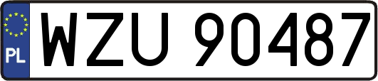 WZU90487