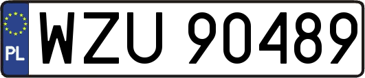 WZU90489