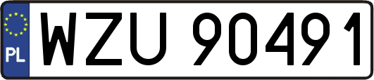 WZU90491