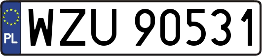WZU90531