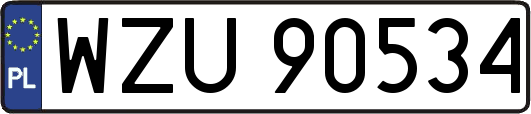 WZU90534