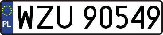 WZU90549