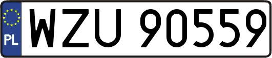 WZU90559