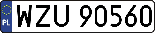 WZU90560