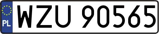 WZU90565