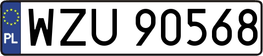 WZU90568