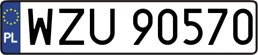 WZU90570