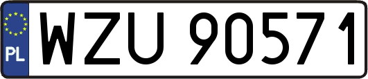 WZU90571