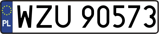 WZU90573