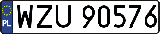 WZU90576