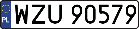 WZU90579