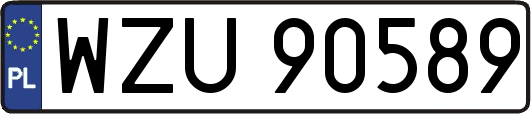 WZU90589